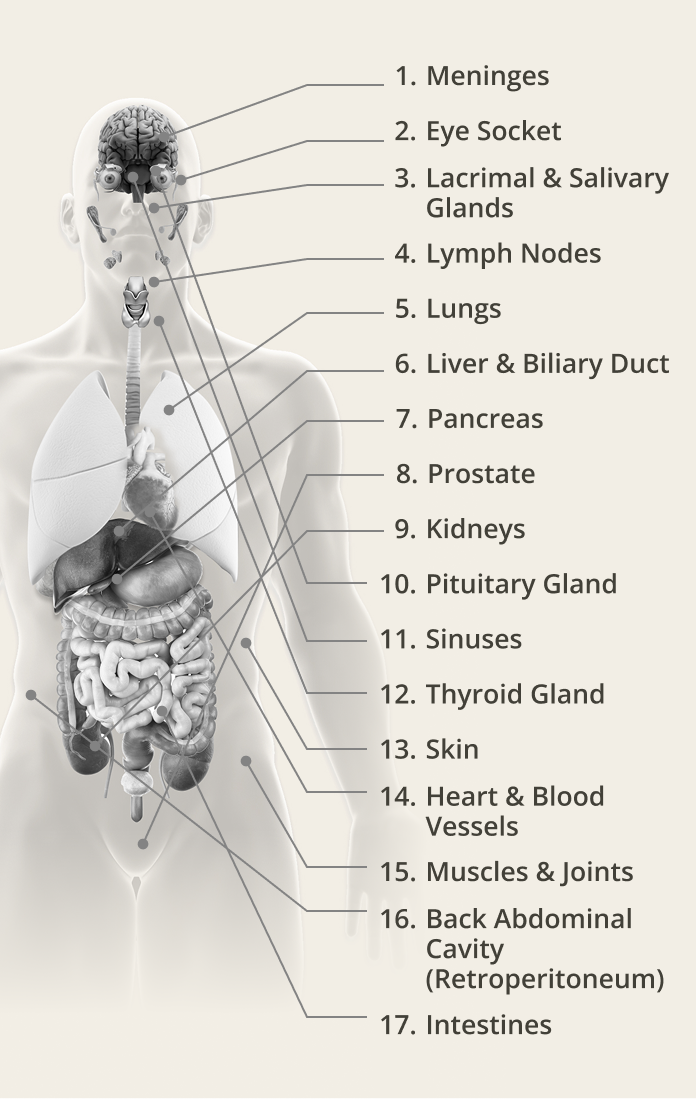 Organ-Specific Symptoms of IgG4-RD